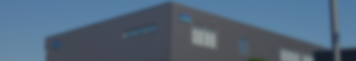 Company Profile