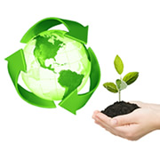 Environmental Policy