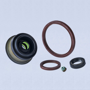 Oil Seal